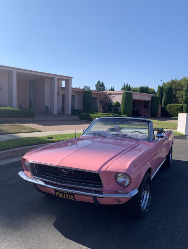 plush74 location california design vintage furniture pink palace shoot film photo fashion car scouting12