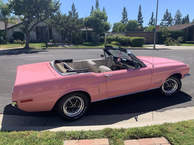 plush74 location california design vintage furniture pink palace shoot film photo fashion car scouting16