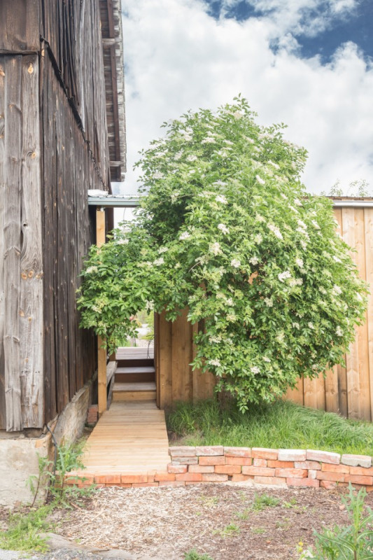 felpa74 localización película foto cottbus alemania granja33