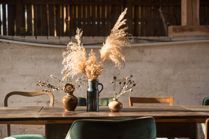 peluche74 localización película foto cottbus alemania granja41