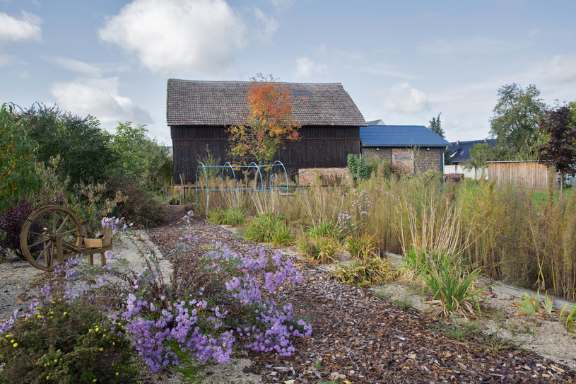 felpa74 localización película foto cottbus alemania granja9