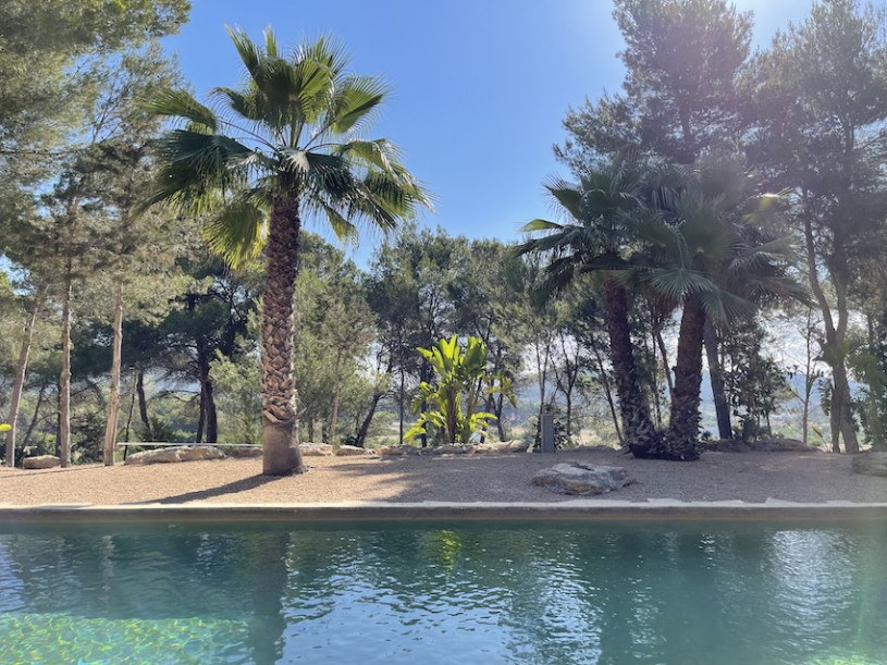 plush74 location film photo ibiza spain design finca800044