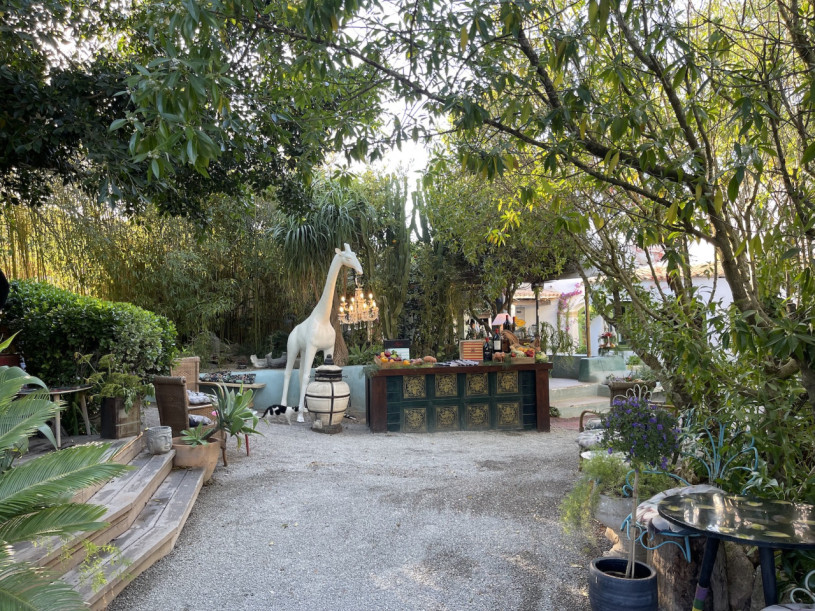 plush74 location ibiza restaurant garden film photo event17