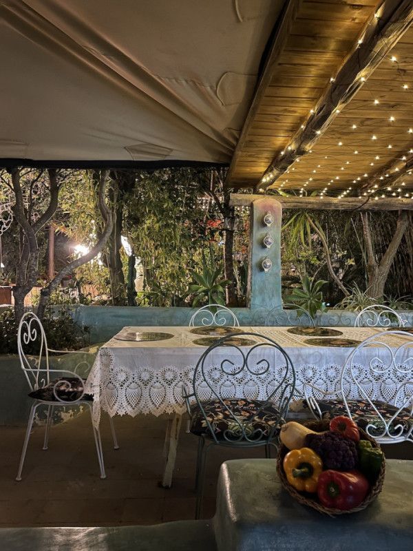 plush74 location ibiza restaurant garden film photo event90