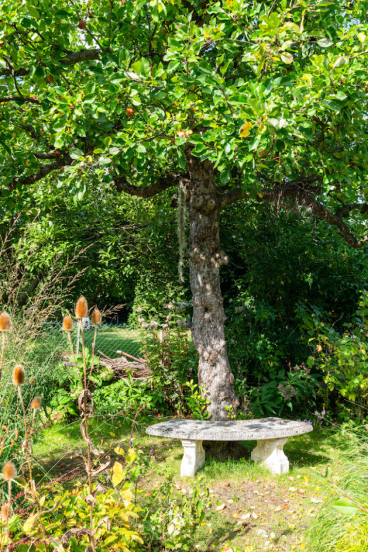 felpa74 localización foto película berlín localización de eventos berlín jardín zona exterior11