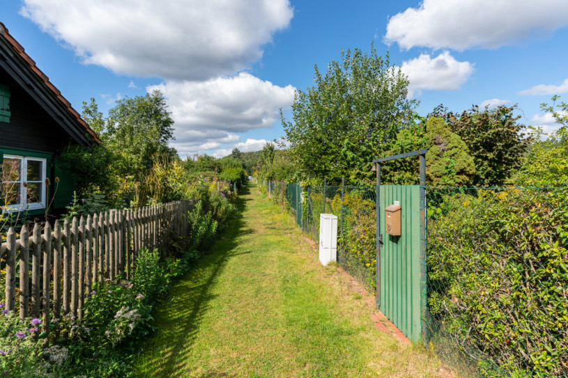 felpa74 localización foto película berlín localización de eventos berlín jardín zona exterior22