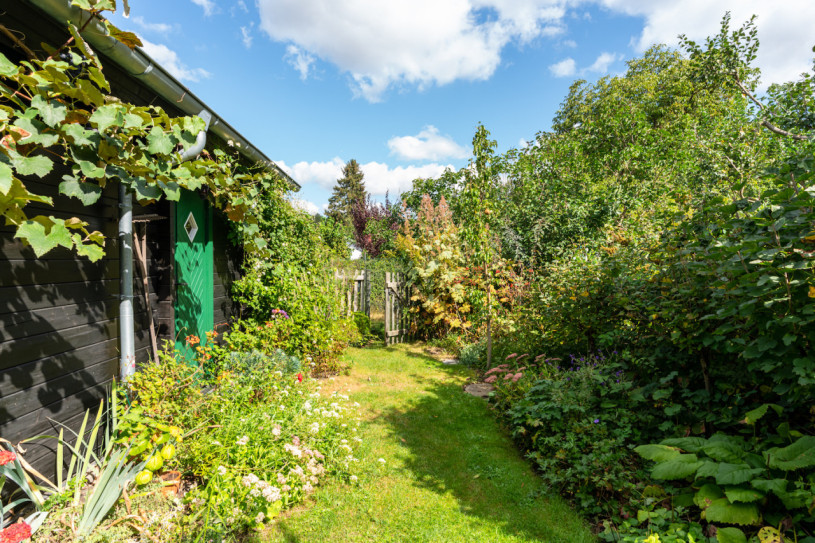 felpa74 localización foto película berlín localización de eventos berlín jardín zona exterior27