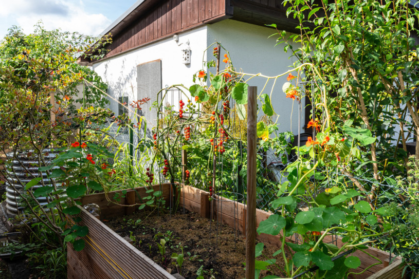 felpa74 localización foto película berlín localización de eventos berlín jardín zona exterior4