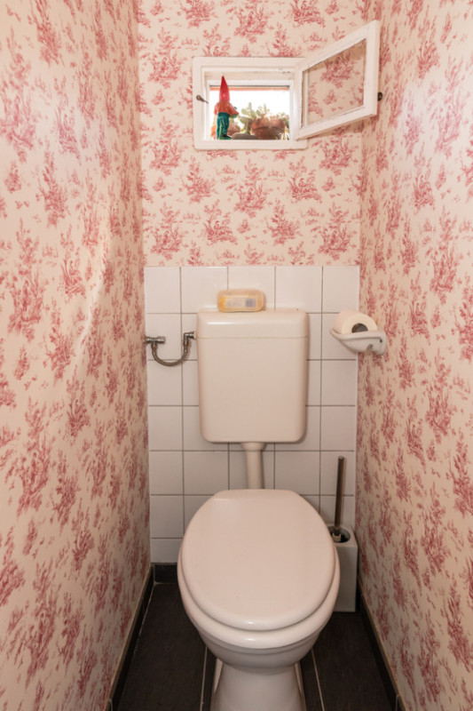 peluche74 lugar foto película berlín lugar del evento berlín jardín zona exterior8