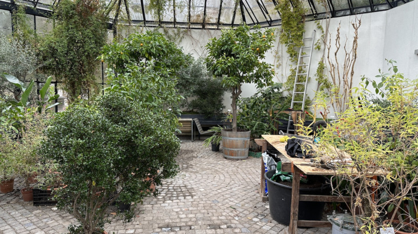 plush74 location photo film event switzerland zurich greenhouse tropical plants 197