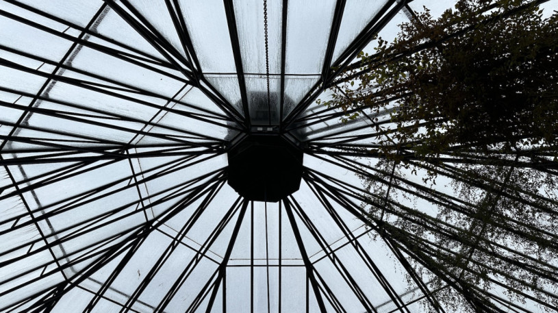 plush74 location photo film event switzerland zurich greenhouse tropical plants 202