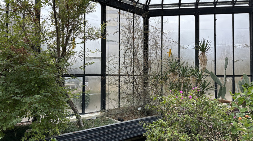 plush74 location photo film event switzerland zurich greenhouse tropical plants 203