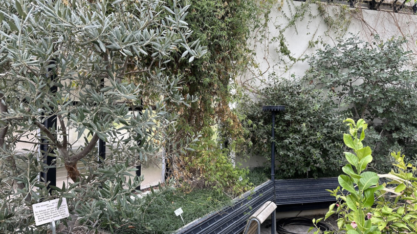 plush74 location photo film event switzerland zurich greenhouse tropical plants 207