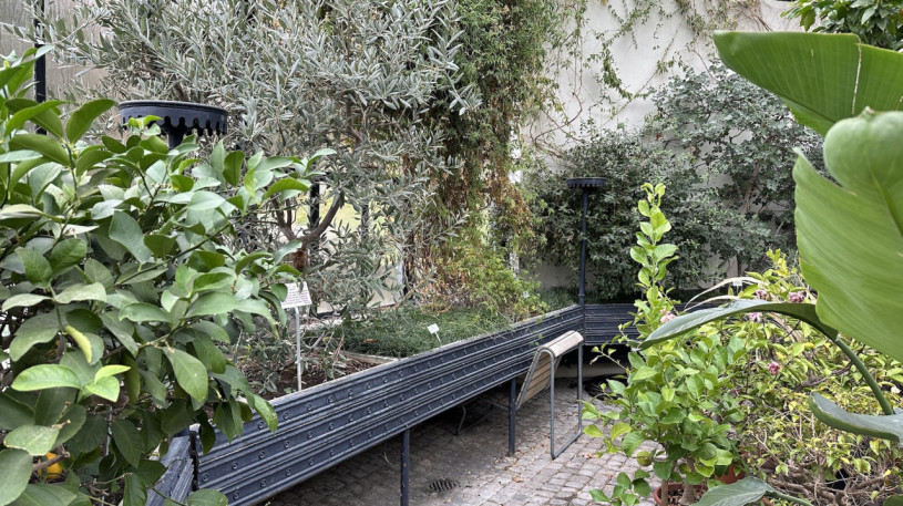 plush74 location photo film event switzerland zurich greenhouse tropical plants 209