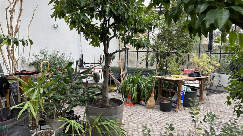 plush74 location photo film event switzerland zurich greenhouse tropical plants 211