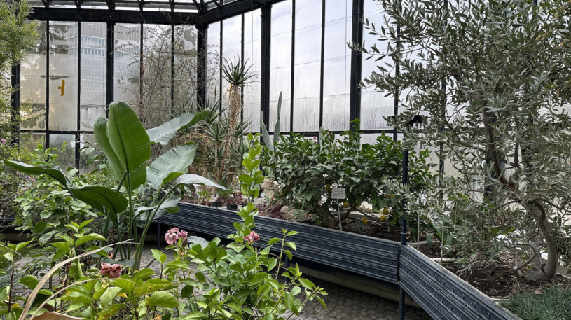 plush74 location photo film event switzerland zurich greenhouse tropical plants 212