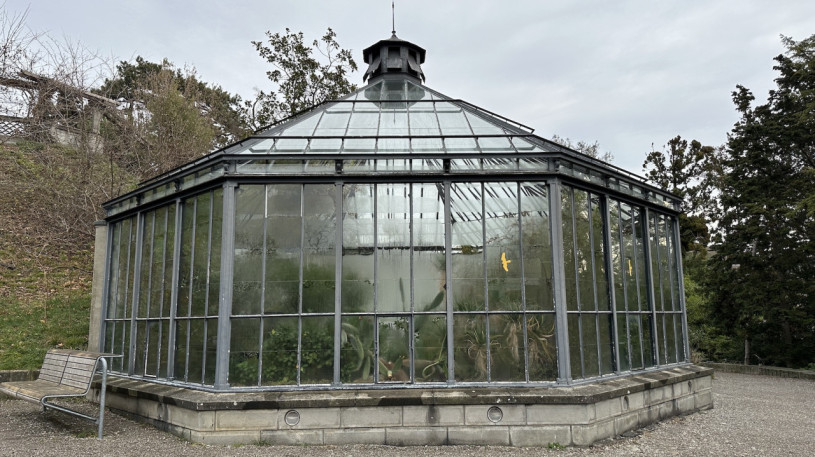 plush74 location photo film event switzerland zurich greenhouse tropical plants 226
