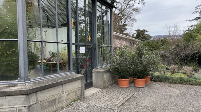 plush74 location photo film event switzerland zurich greenhouse tropical plants 239