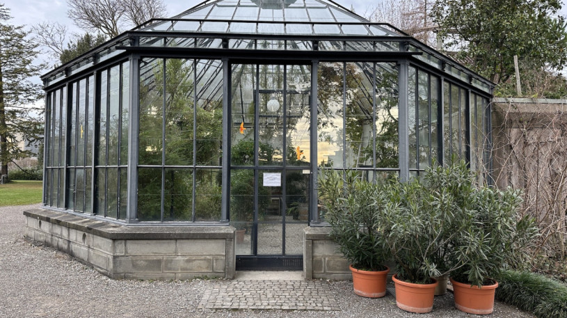 plush74 location photo film event switzerland zurich greenhouse tropical plants 240