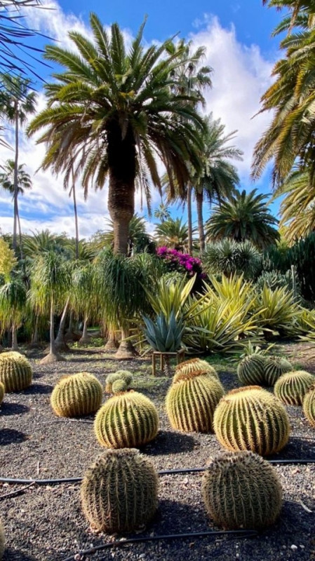 peluche74 lugar foto película españa tenerife00000