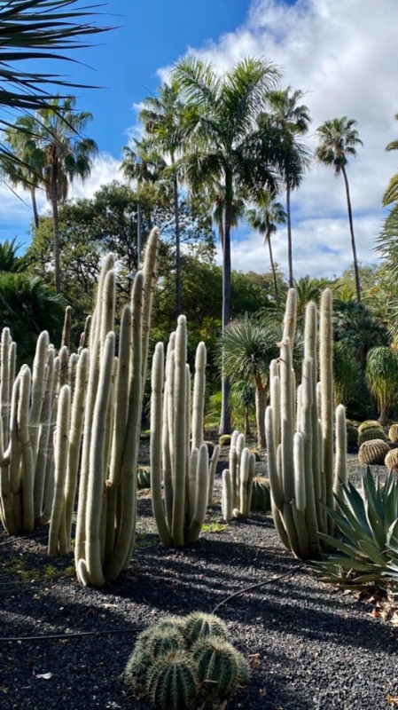 felpa74 lugar foto película españa tenerife00001