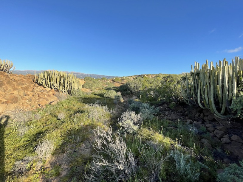 peluche74 lugar foto película españa tenerife00018