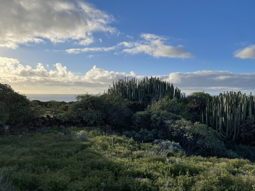 peluche74 lugar foto película españa tenerife00021