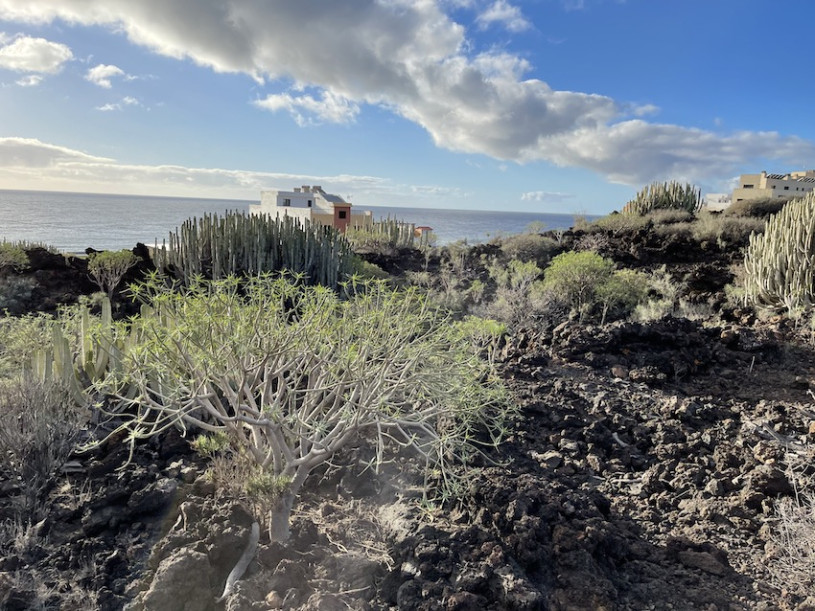 peluche74 lugar foto película españa tenerife00024