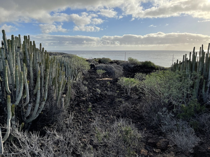 peluche74 lugar foto película españa tenerife00027