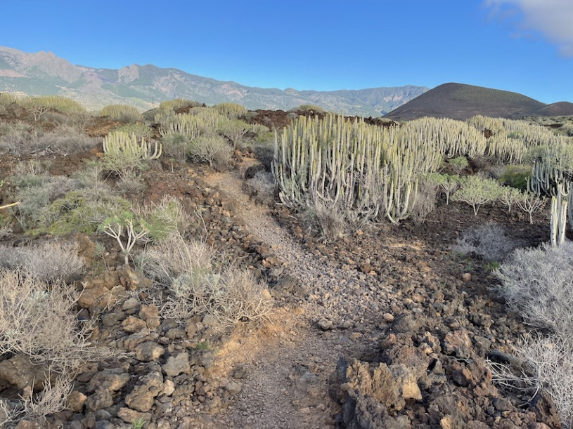 peluche74 lugar foto película españa tenerife00030