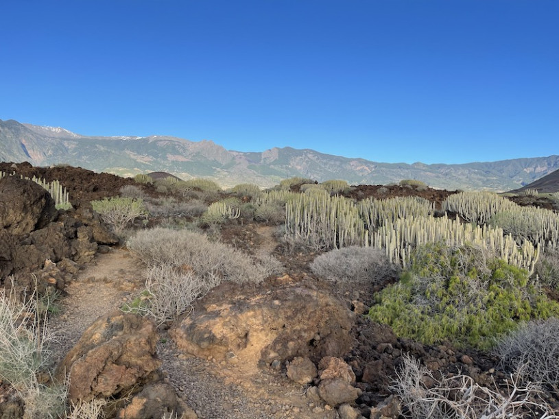 peluche74 lugar foto película españa tenerife00031