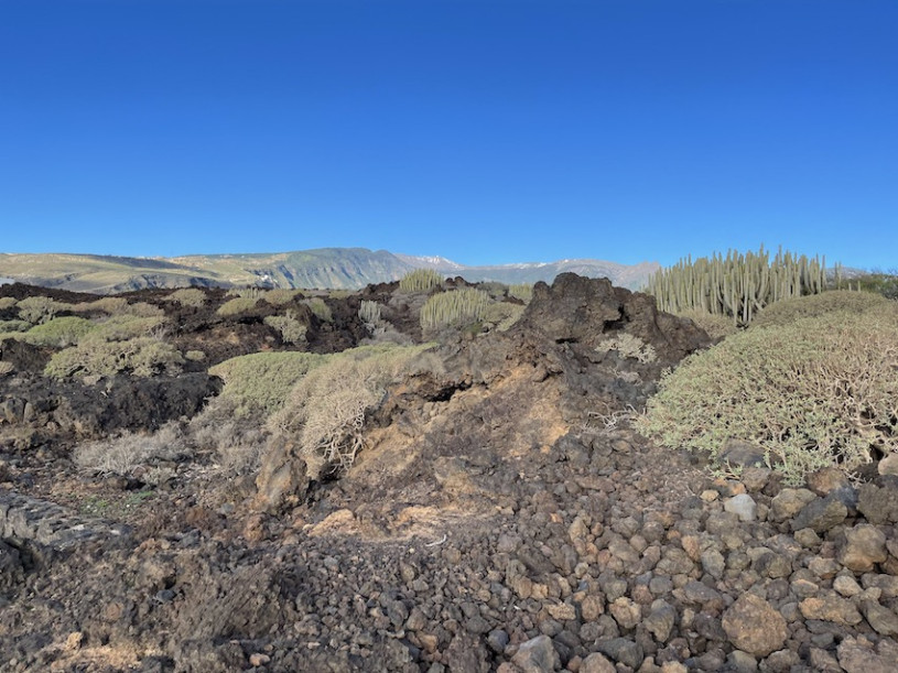 peluche74 lugar foto película españa tenerife00035