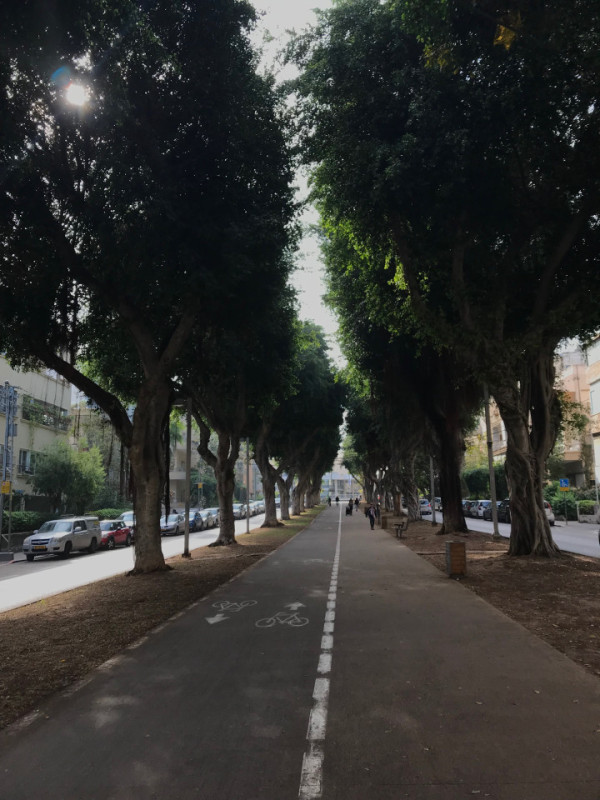 plush74 location scout rental photo film production tel aviv city15