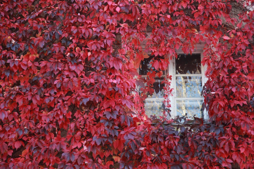 peluche74 location scouting film foto location casa moorenweis yoga legno scandinavo119