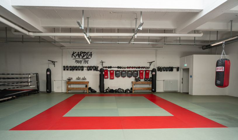 felpa74 lugares alemania berlin deportes foto urbana película fenriz gymjpg5