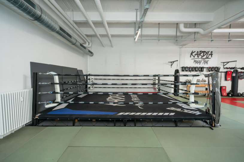 felpa74 lugares alemania berlin deportes foto urbana película fenriz gymjpg7