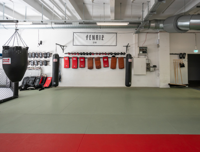 felpa74 lugares alemania berlin deportes foto urbana película fenriz gymjpg9