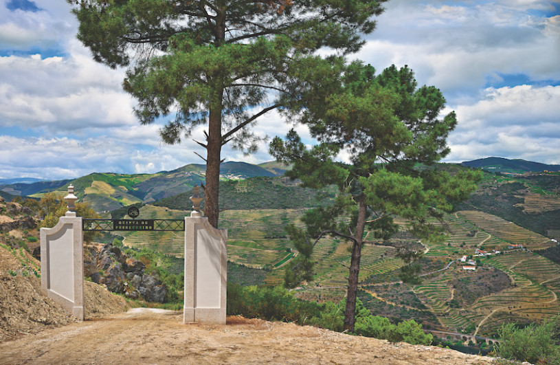 plush74 locations photo film production portugal villa luxury winery00031