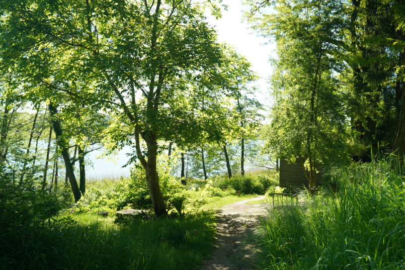 plush74 magisches Haus am See 21