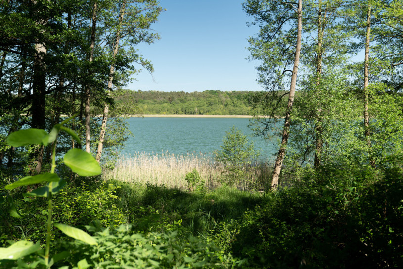 plush74 magisches Haus am See 25