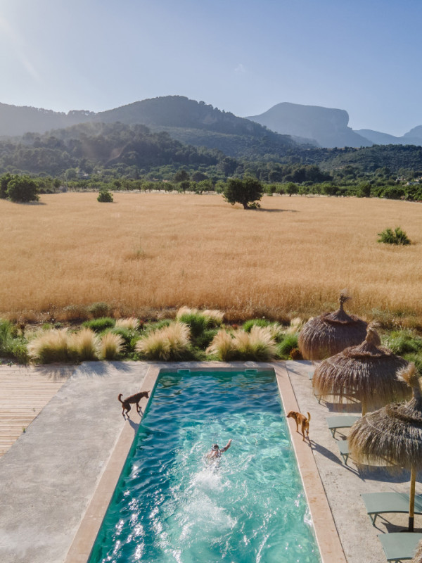 peluche74 mallorquin magic 12