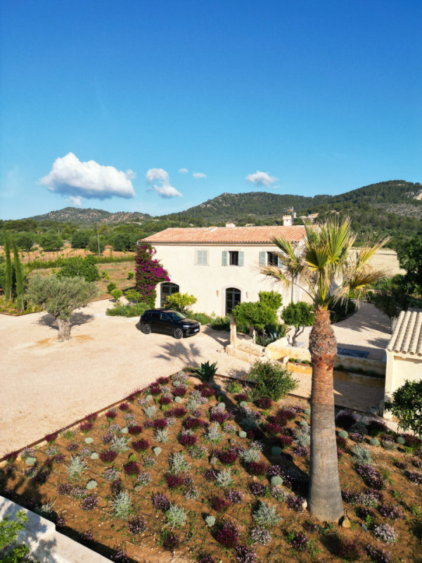 peluche74 mallorquin magic 19