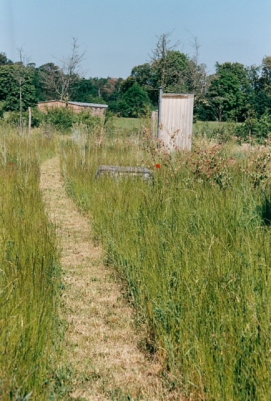 plush74 marsano feld 8