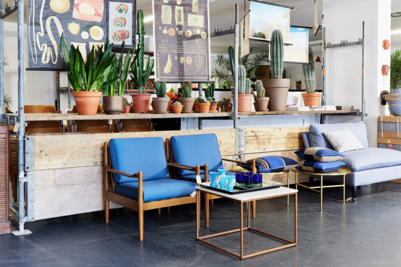 felpa74 marsano laden 1