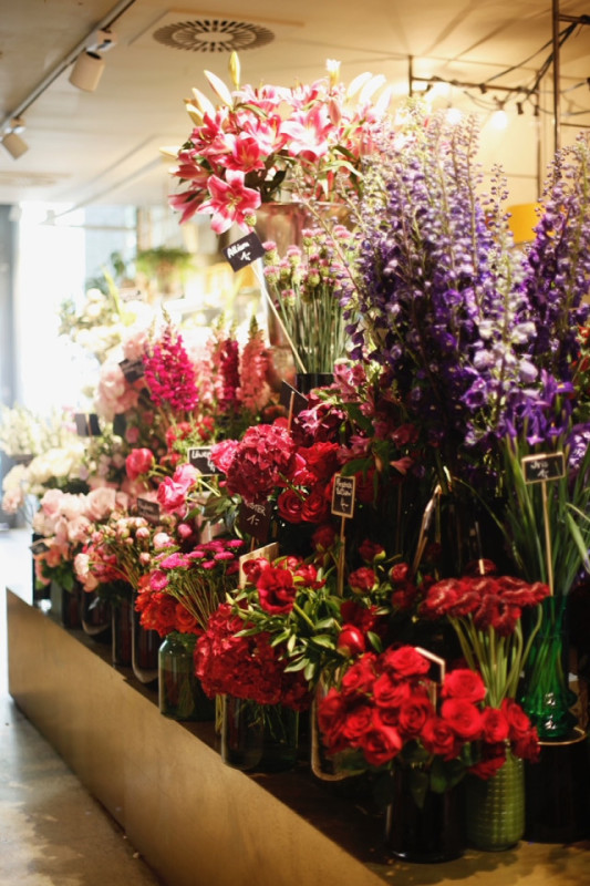 felpa74 marsano laden 3