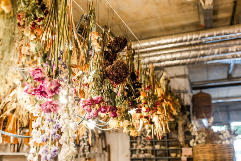 felpa74 marsano laden 9