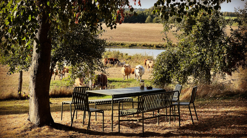 plush74 modern country studio 12