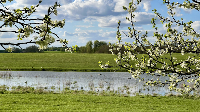 plush74 modern country studio 14(1)