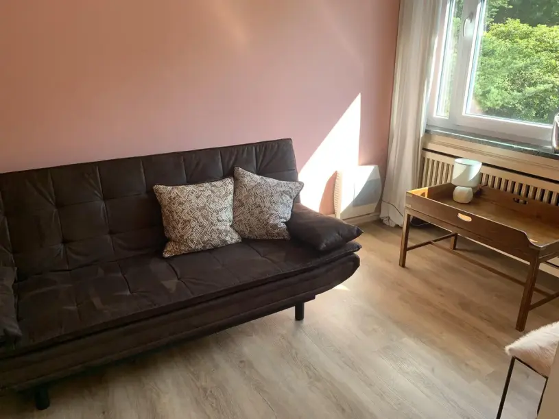 plush74 modern living room with pink walls 9