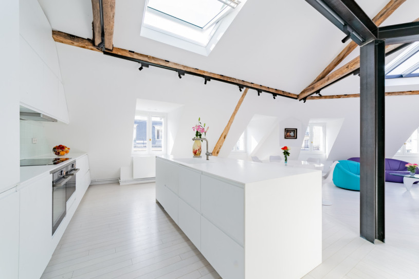 plush74 modernes paris penthouse 5(1)